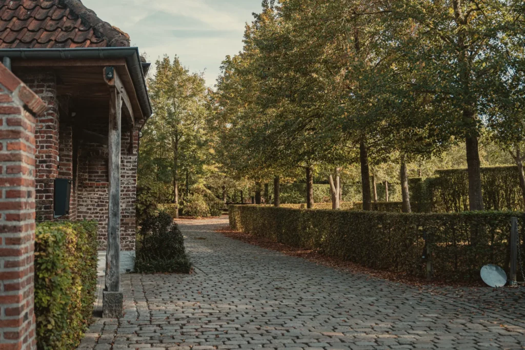 Doorkijk vanaf de hoeve naar de dreef van Diepenbroekhof