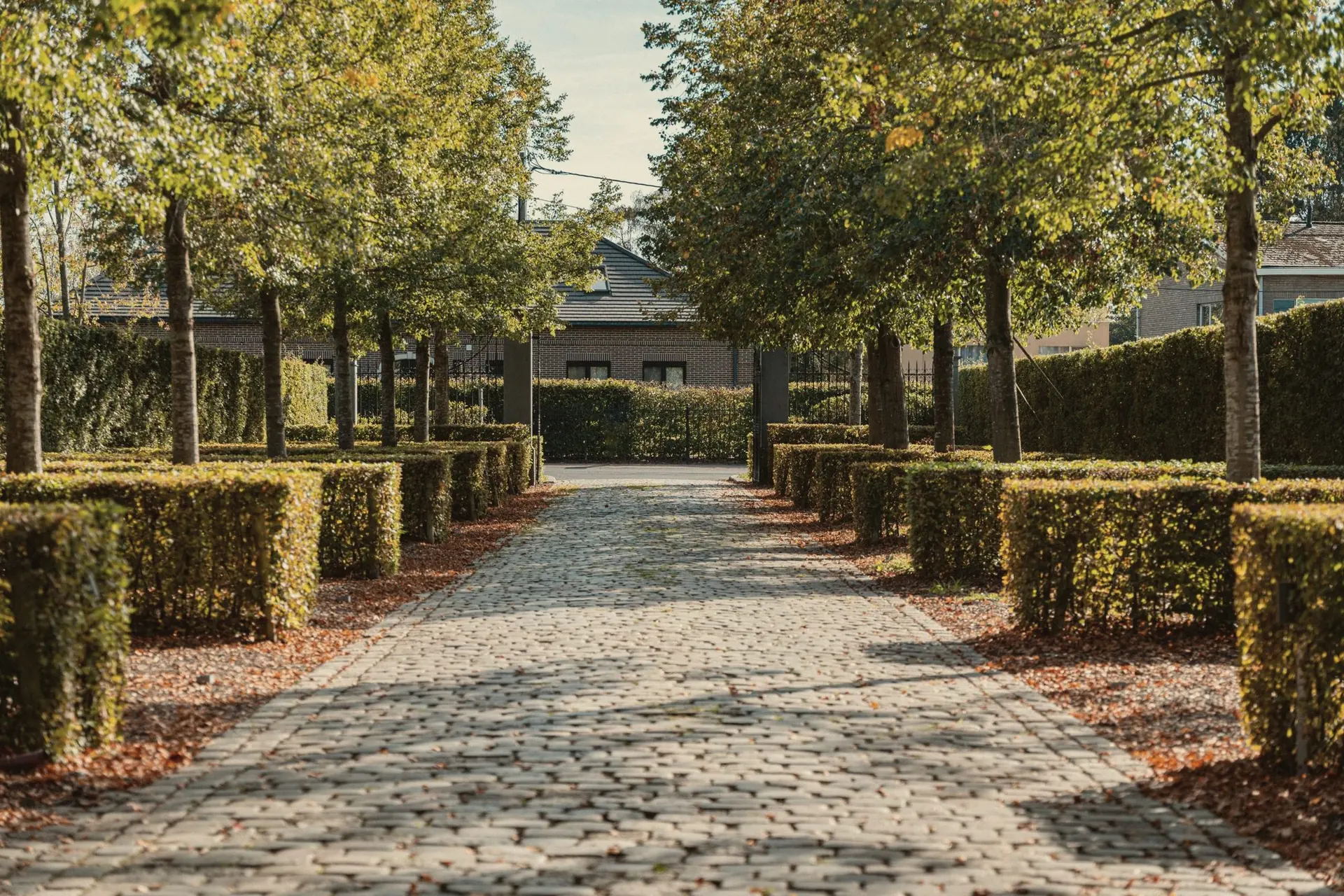 Gekasseide oprijlaan tussen hagen en bomen naar Diepenbroekhof